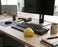 cheese stress ball